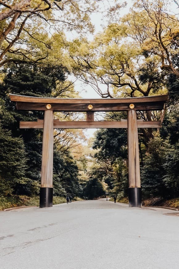 Place Meiji Shrine