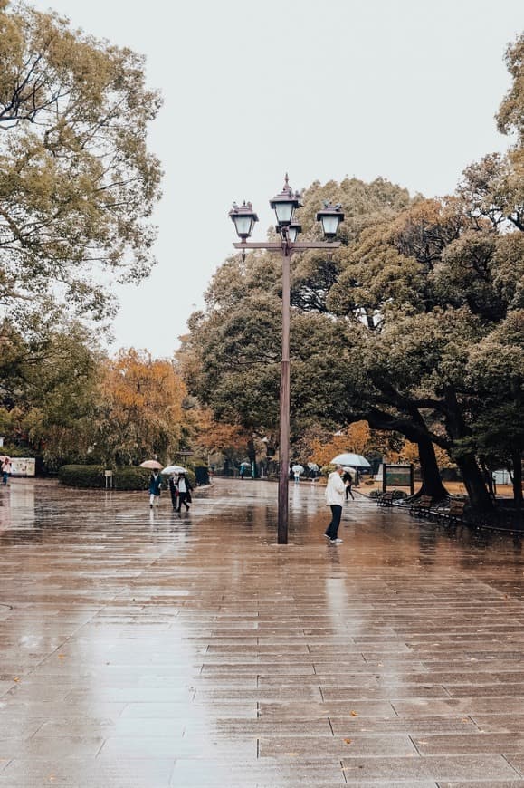 Place Ueno-Park