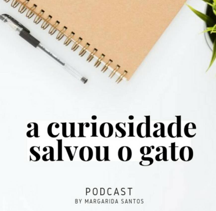 Fashion A Curiosidade Salvou o Gato