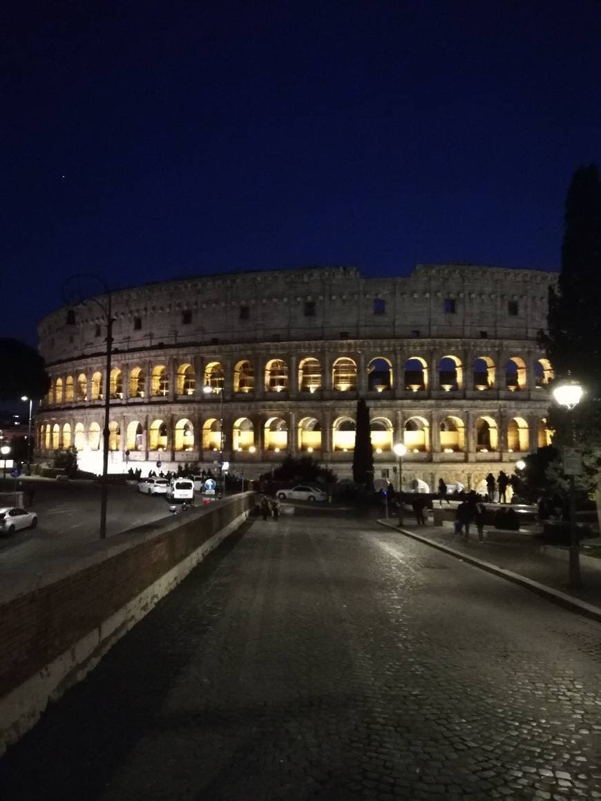 Lugar Coliseo de Roma