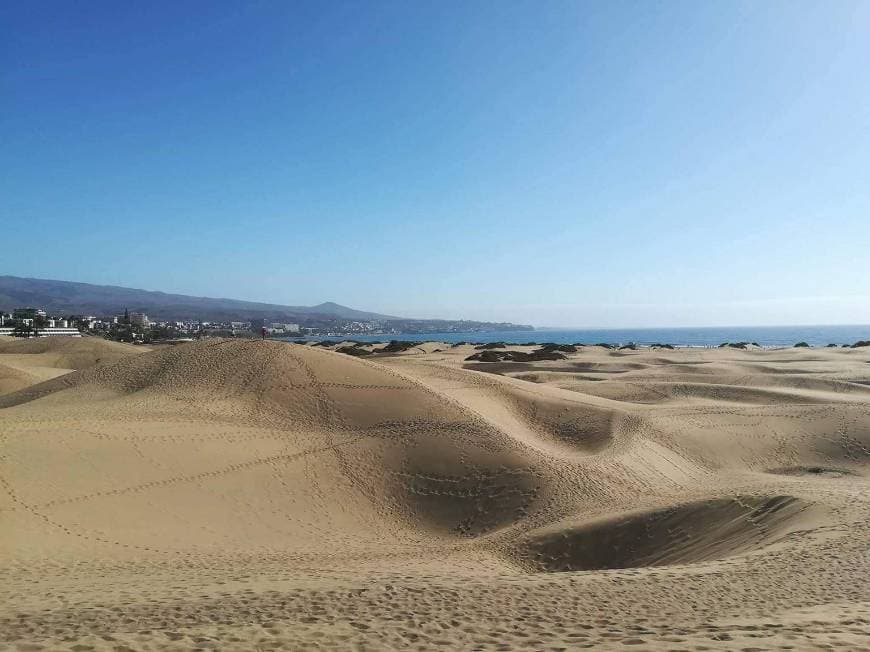 Lugar Dunas de Maspalomas