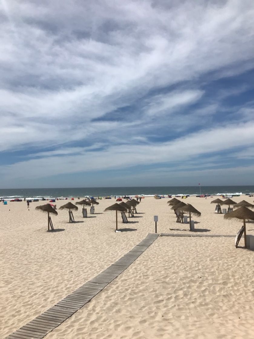 Lugar Praia da Torreira