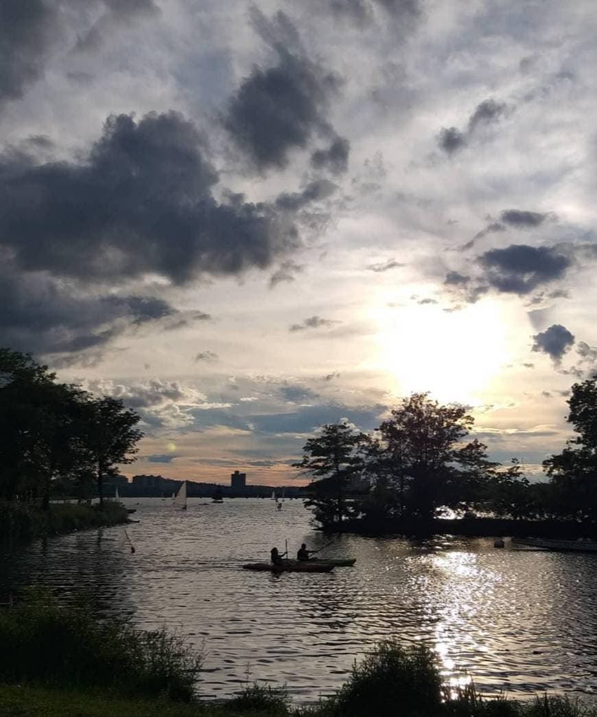 Lugar Charles River Esplanade