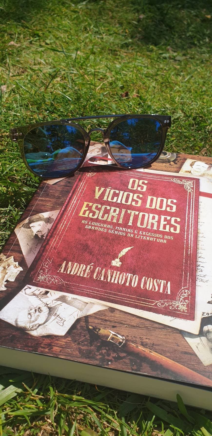 Book Os vícios dos escritores