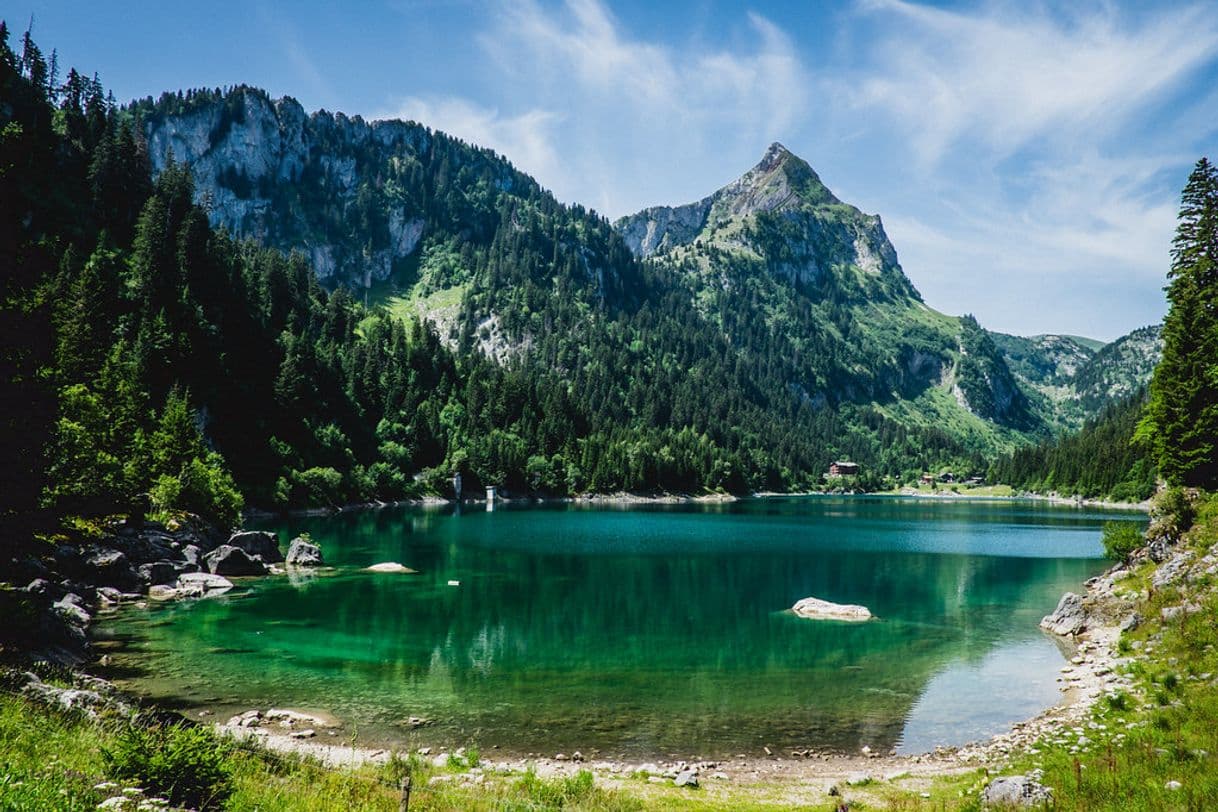 Lugar Lago de Taney