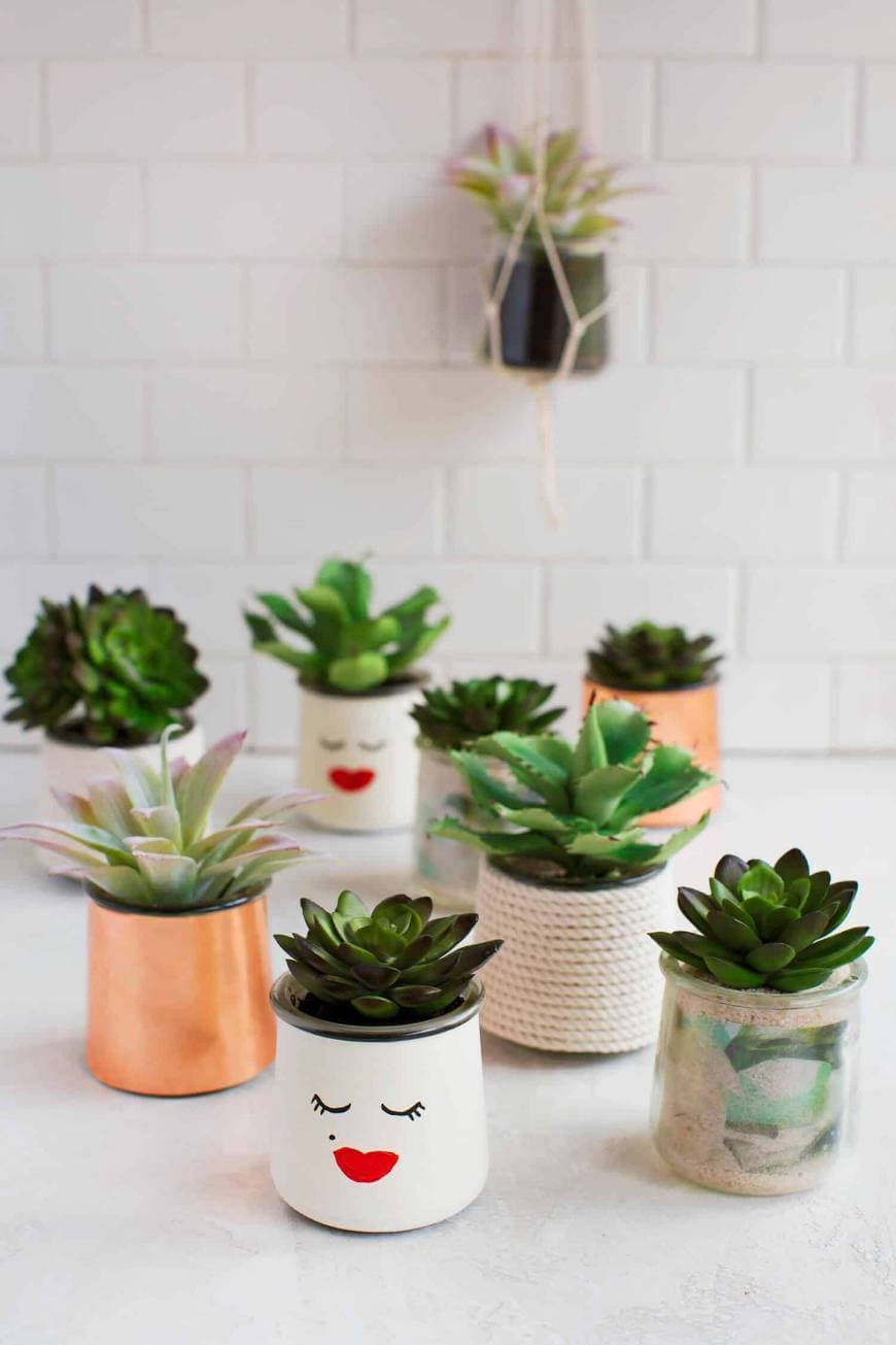 Producto Vasos para plantas