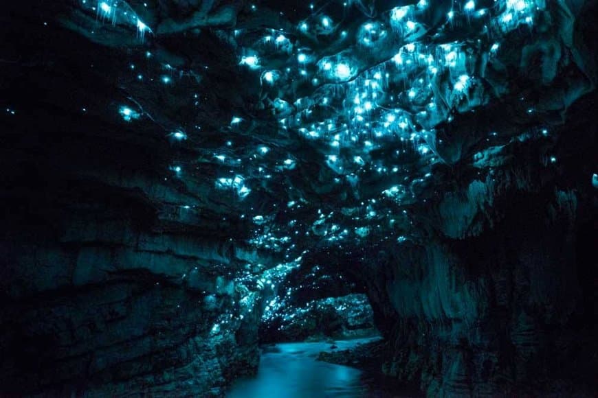 Place Waitomo Glowworm Caves