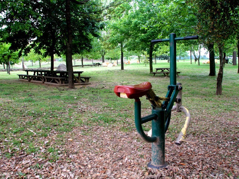 Place Parque da cidade de Lourosa