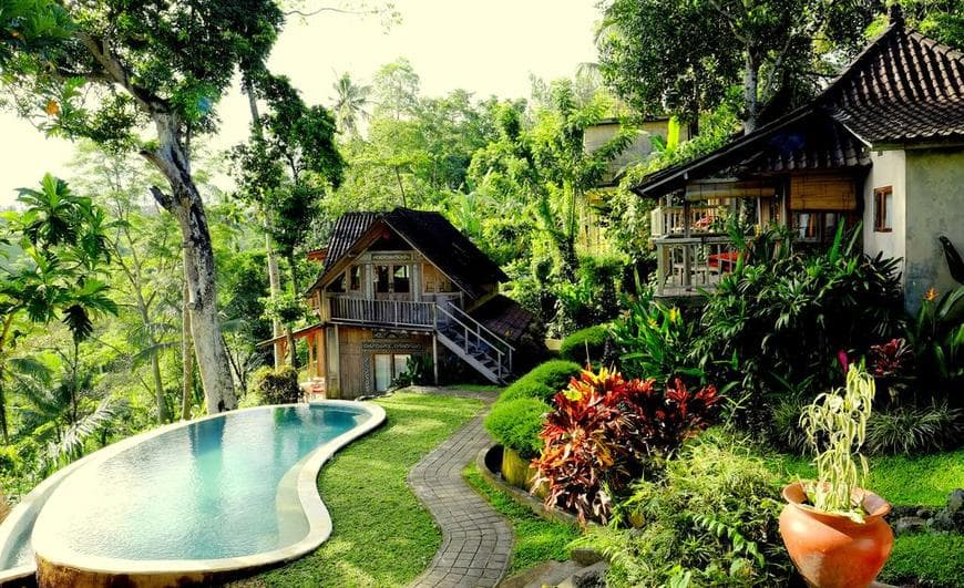 Lugar Ubud