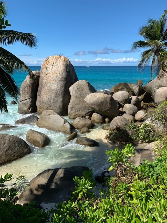 Lugar Constance Lemuria Praslin Seychelles