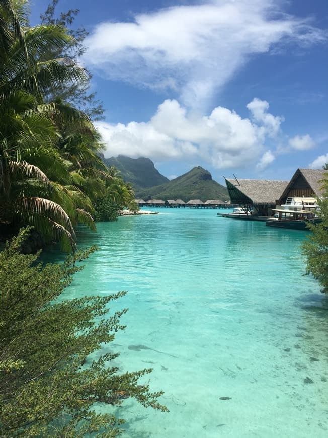 Lugar Four Seasons Resort Bora Bora