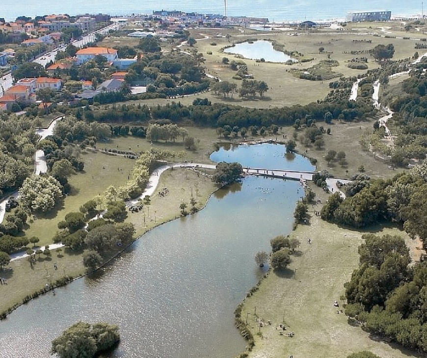 Lugar Parque da Cidade