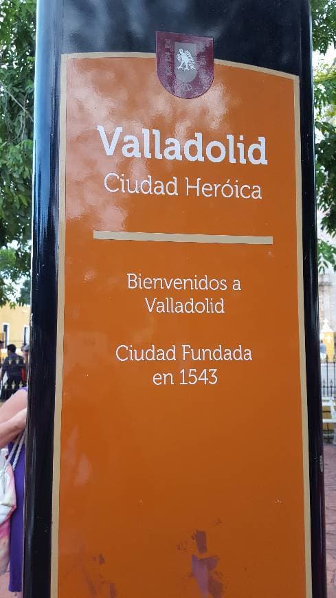 Place Valladolid Centro