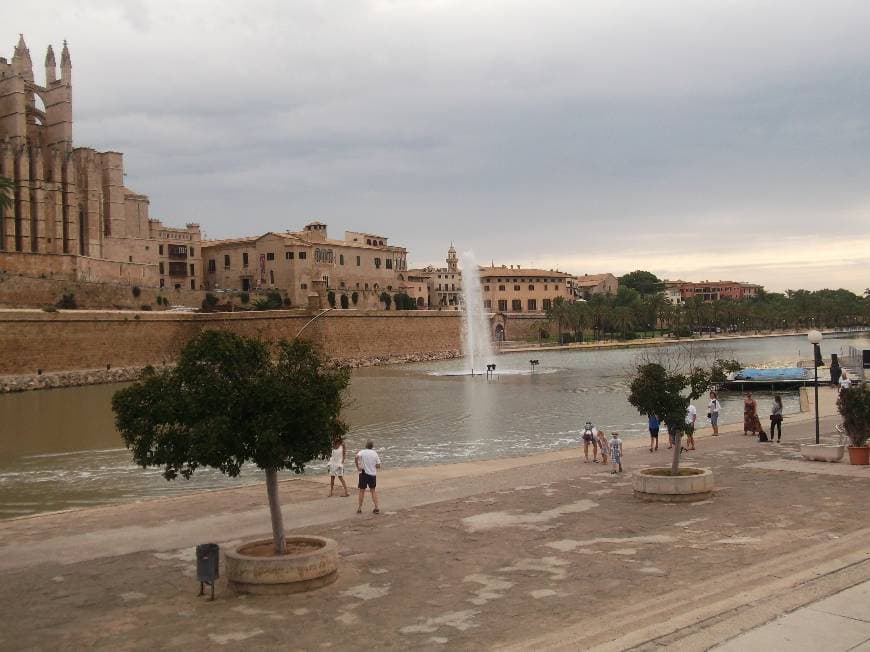 Place Catedral-Basílica de Santa María de Mallorca