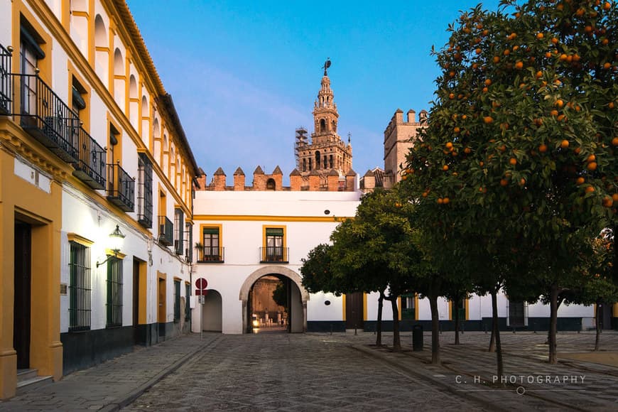 Place Patio de Banderas