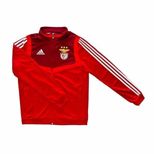 Fitness adidas - SL Benfica -  Casaco Tiro Pre 19/20