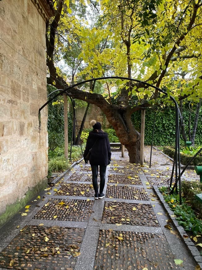 Place Huerto de Calixto y Melibea