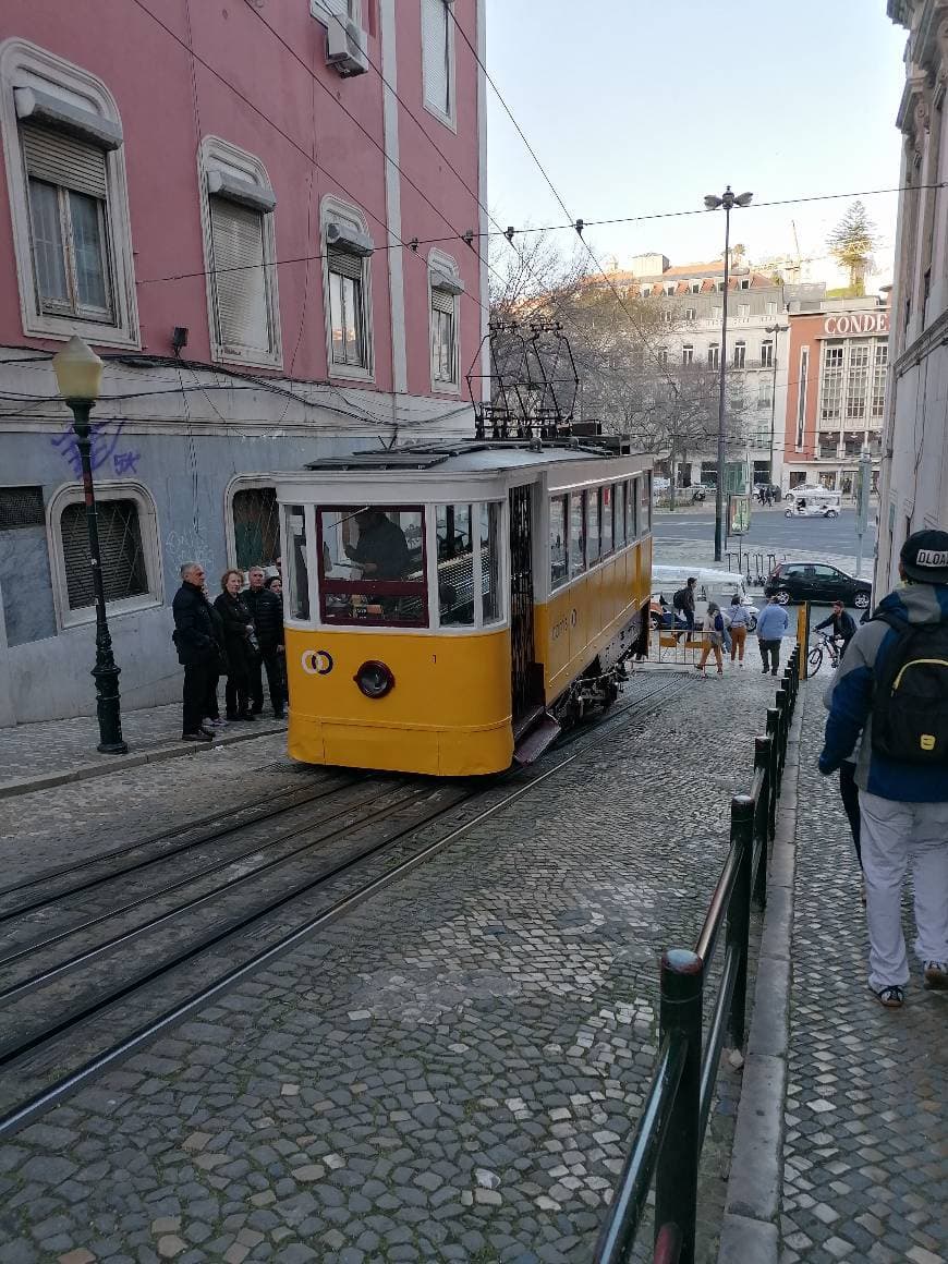 Lugar Elevador da Glória