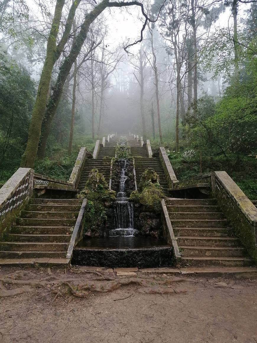 Place Mata Nacional do Buçaco