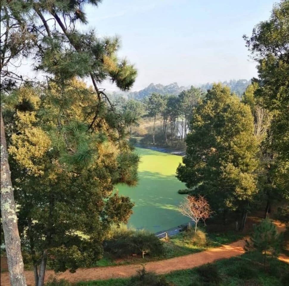 Lugar Buçaquinho Park