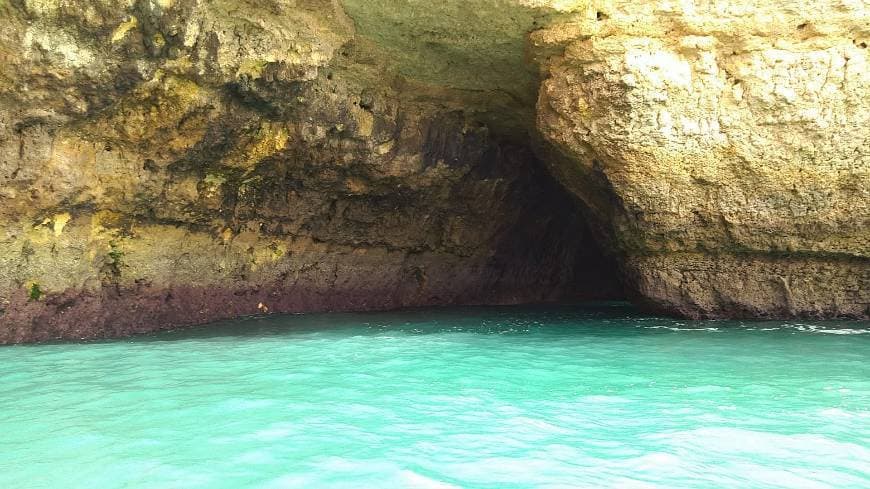 Lugar Nauticdrive boat trips / Dolphin watching and benagil caves