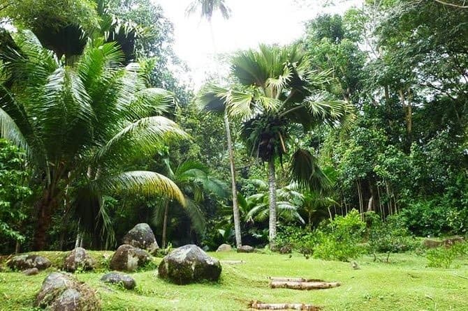 Lugar Jardin Du Roi Spice Garden