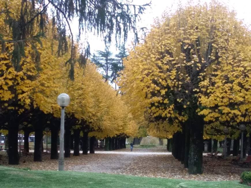 Place Coimbra