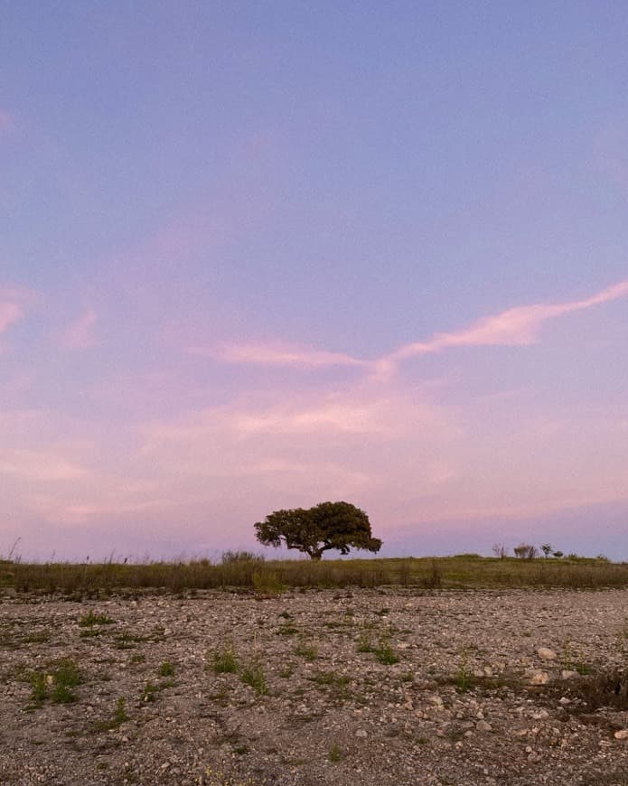 Place Alentejo