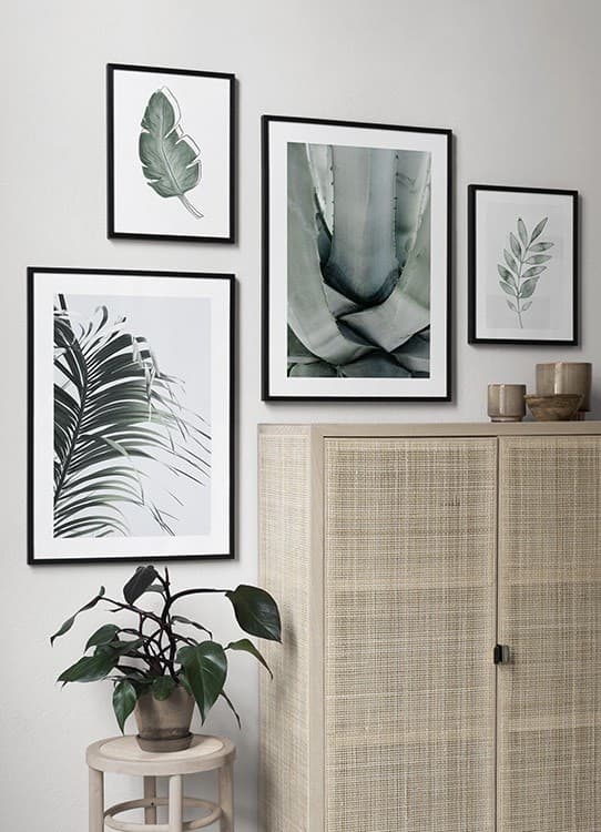 Fashion Aloe Vera Cactus Poster