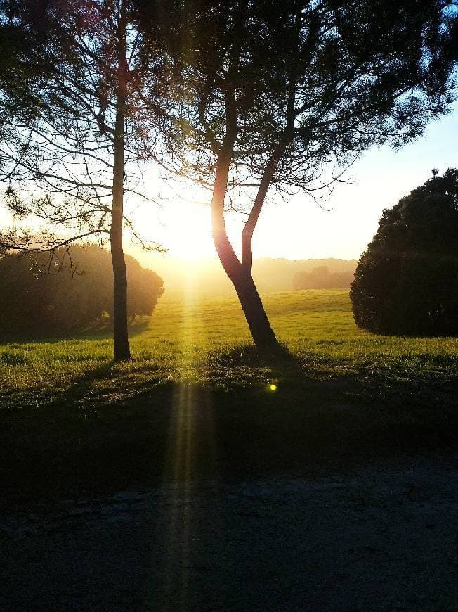 Place Parque da Cidade