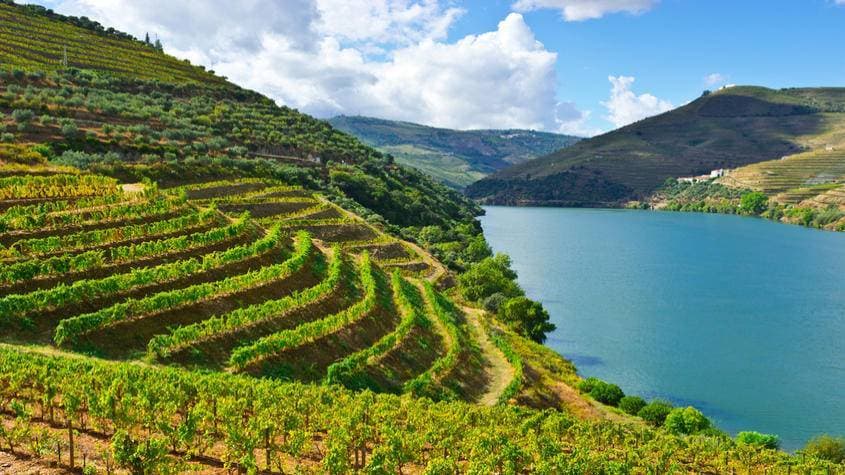 Place Vale do Douro