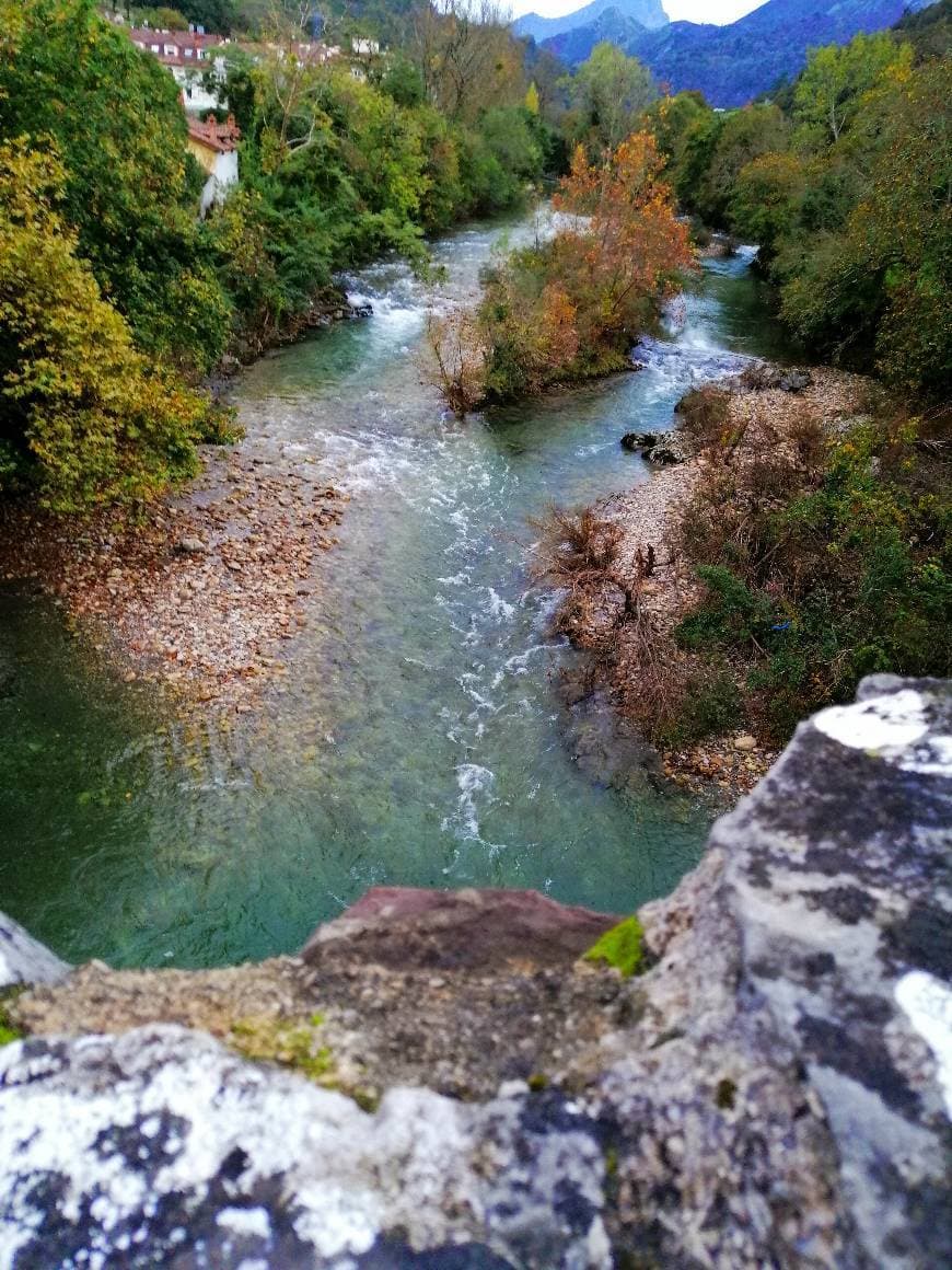 Lugar Cangas de Onís