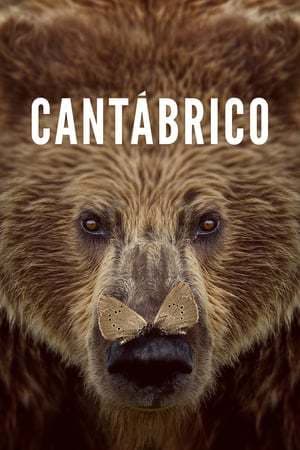 Película Cantábrico