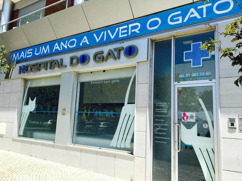 Moda Hospital do Gato – Vivemos o Gato