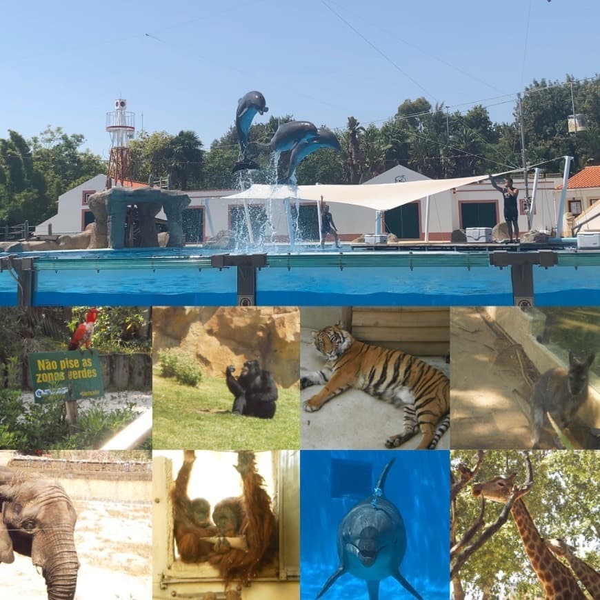 Lugar Jardim Zoológico de Lisboa