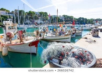 Lugar Porto Cristo Harbour