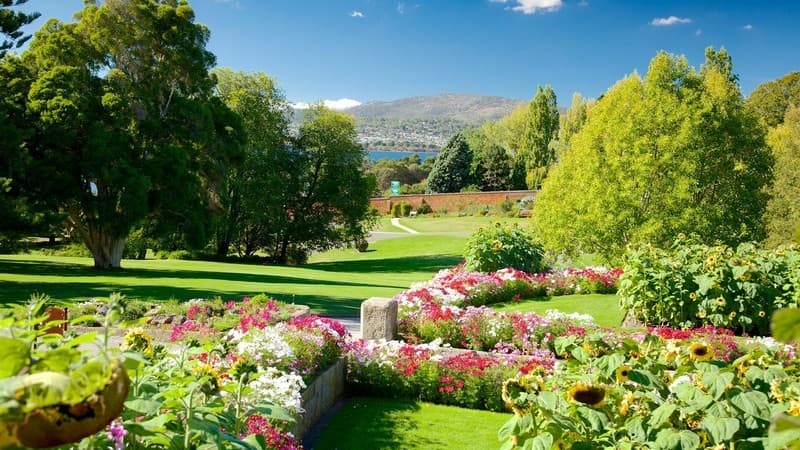 Lugar Royal Tasmanian Botanical Gardens