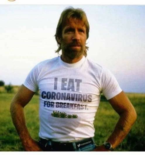 Fashion https://pt.m.wikipedia.org/wiki/Chuck_Norris