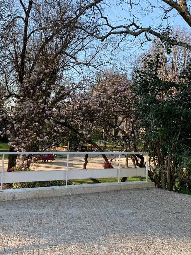 Lugar Jardins do Palácio de Cristal