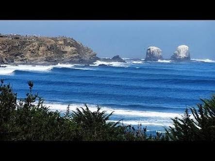 Place Punta de Lobos