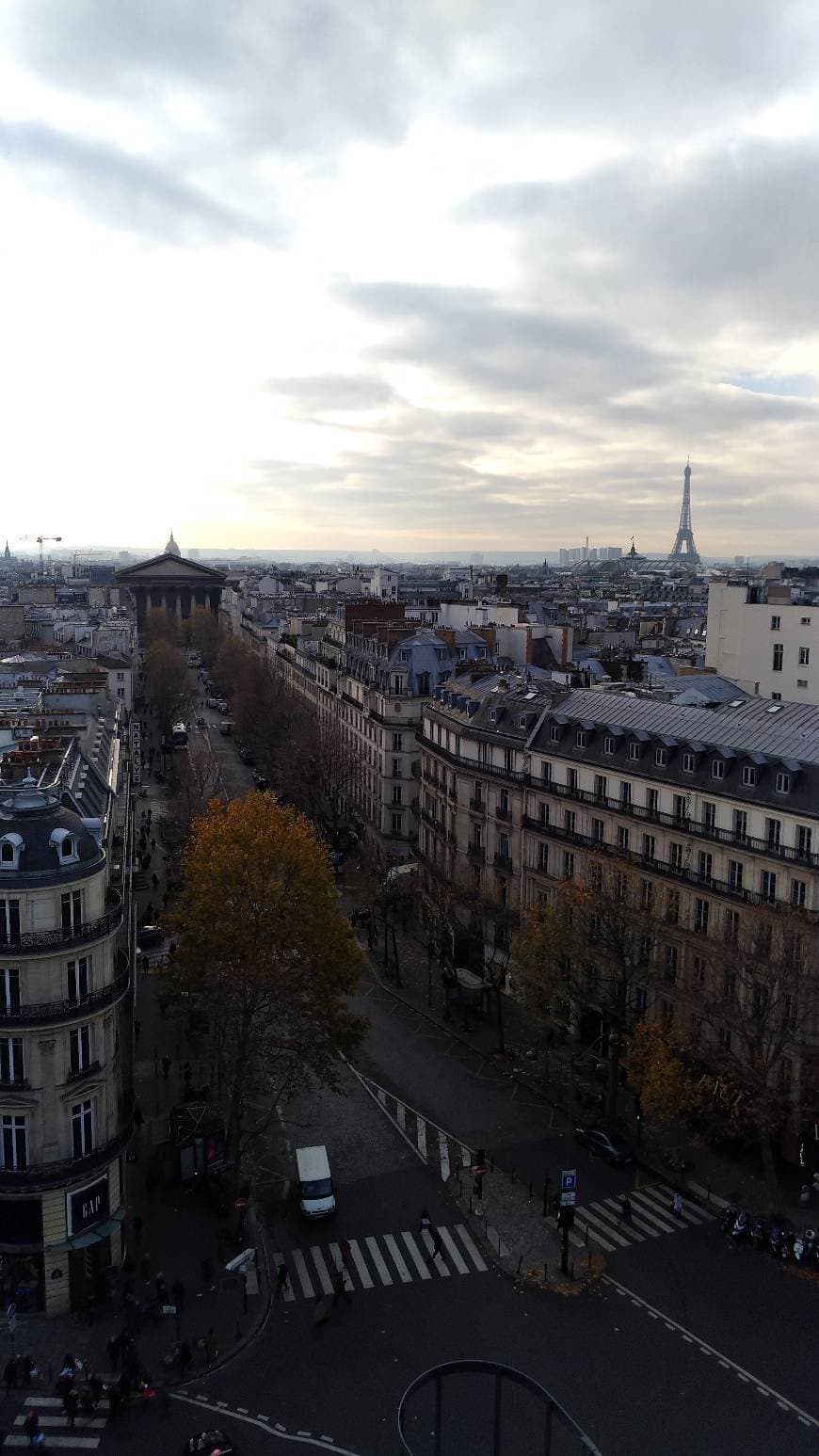 Restaurants The Printemps Rooftop Terrace