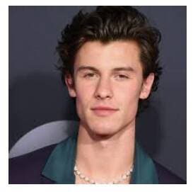 Moda Shawn Mendes