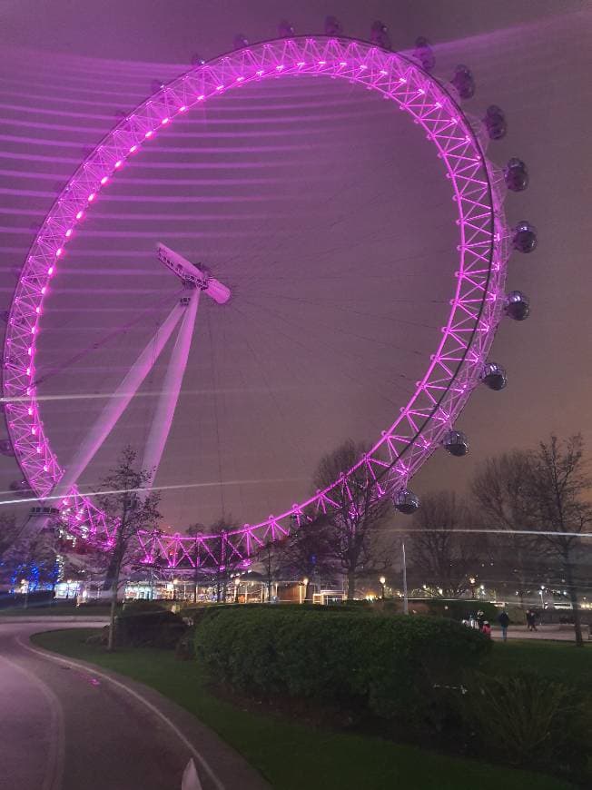 Place London Eye