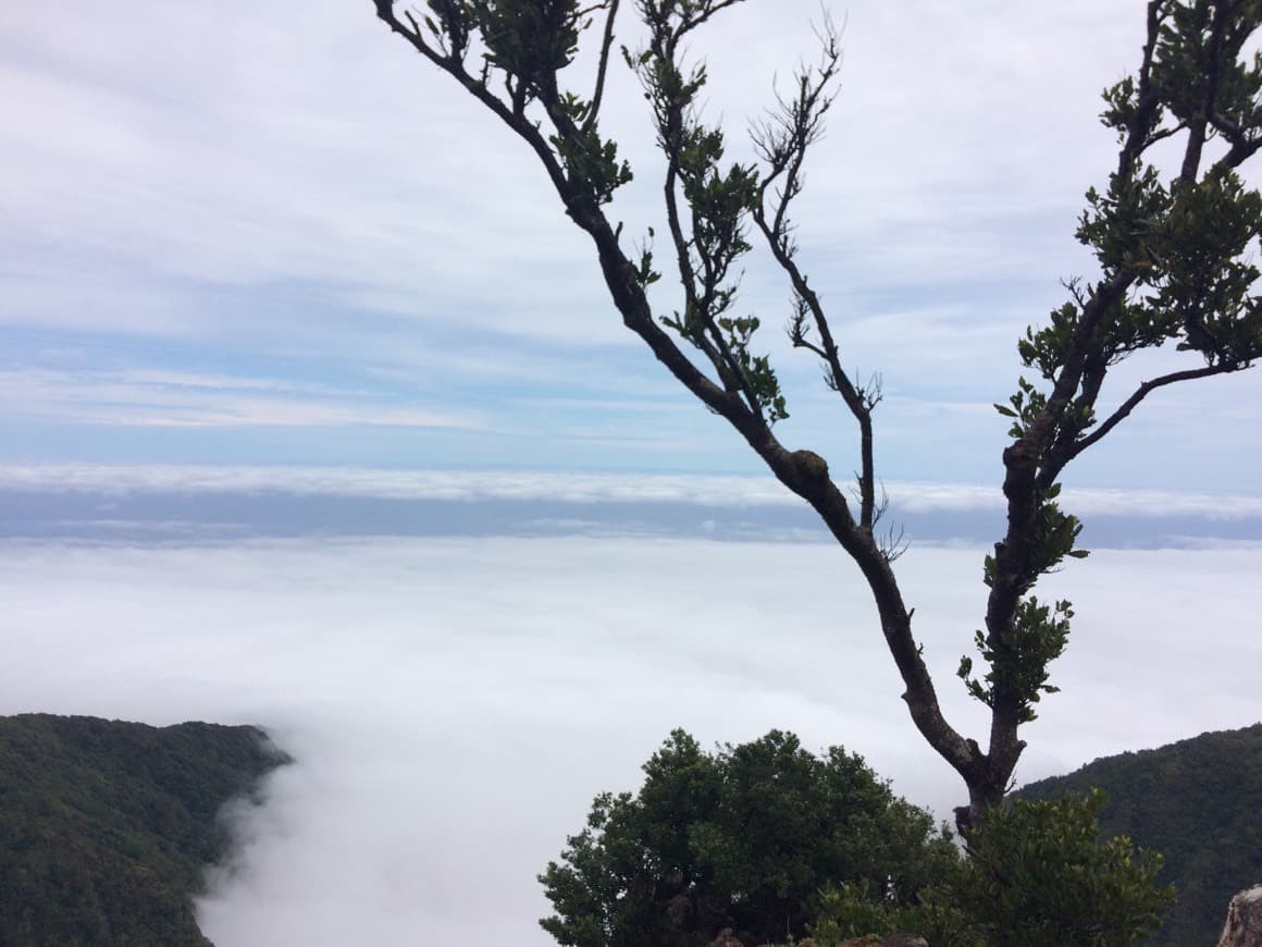 Lugar Fanal Pond