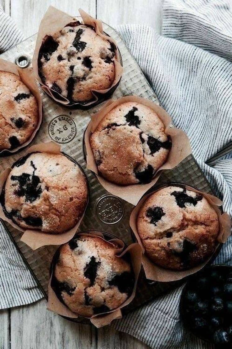 Fashion Muffins