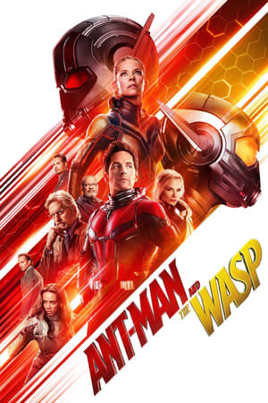 Película Ant-Man and the Wasp