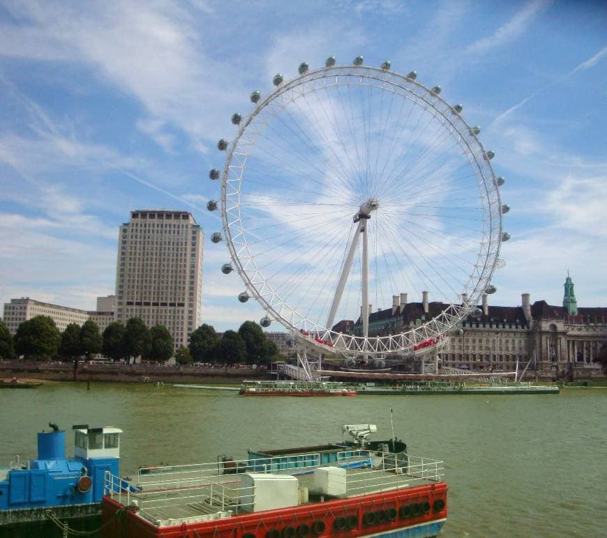 Place London Eye