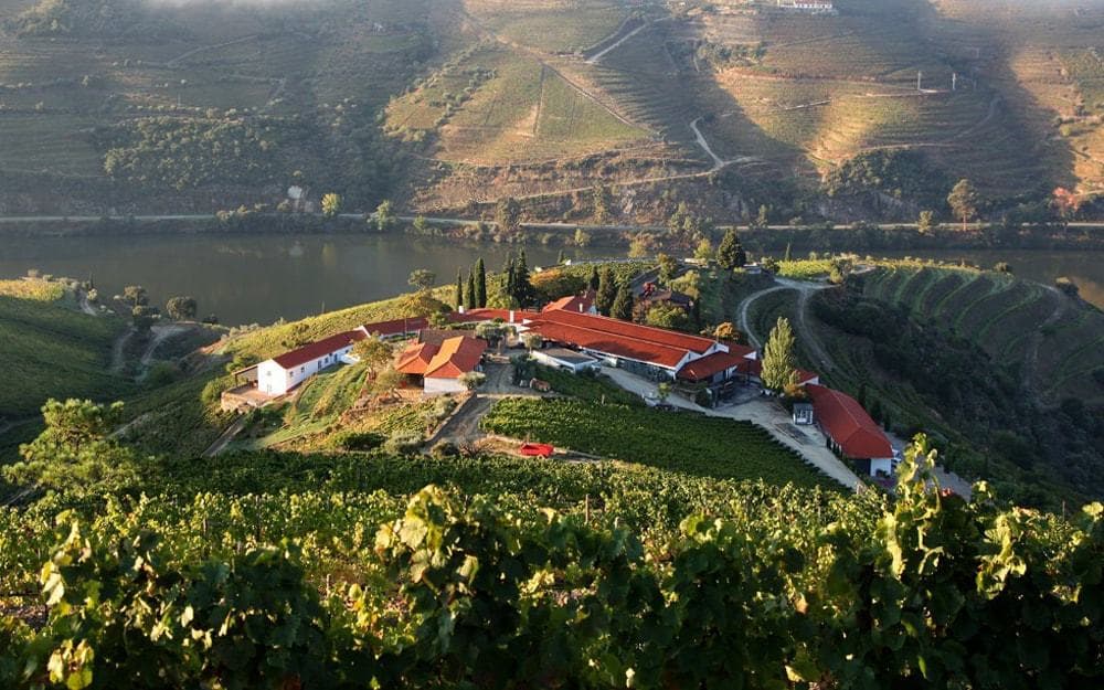 Lugar Quinta Nova Nossa Senhora do Carmo - Luxury Winery House