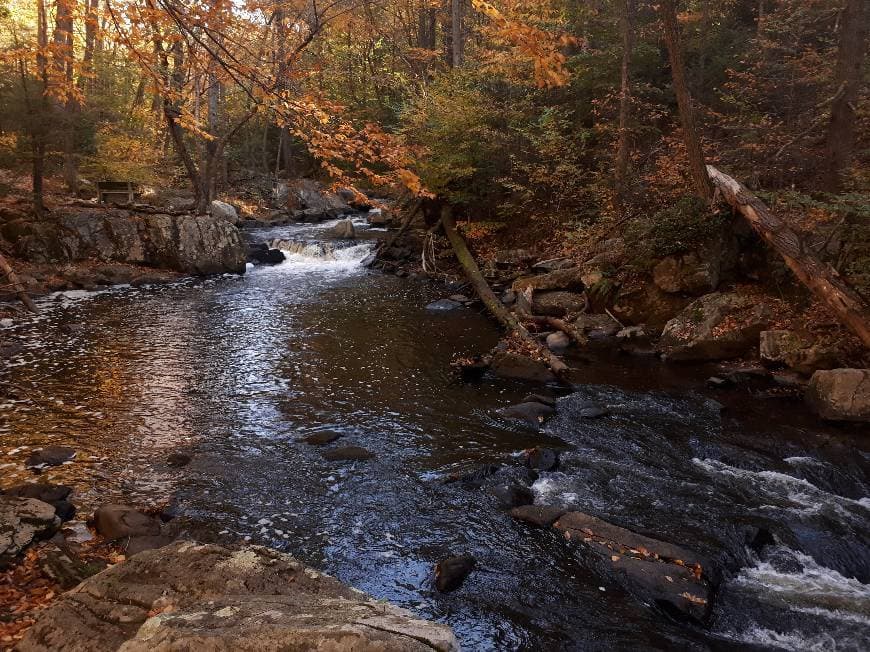 Place Hacklebarney State Park