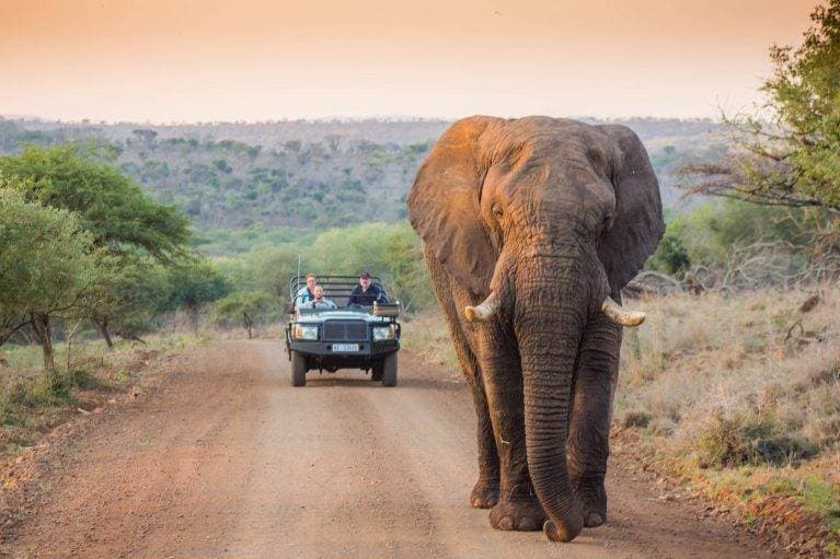 Place Parque nacional Kruger